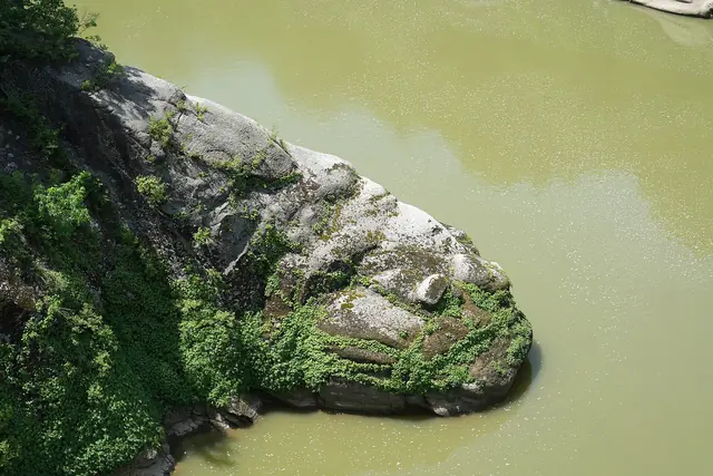 A rock outcrop in the green water of the Hantan River