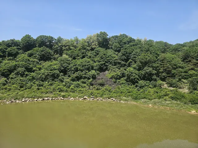 Wooded basalt cliffs above the Hantan River